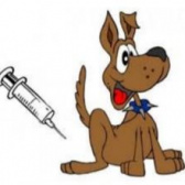 očkování psů proti vzteklině